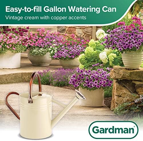 Gardman R34898 1 Gallon Watering Can, Vintage Cream - Image 5