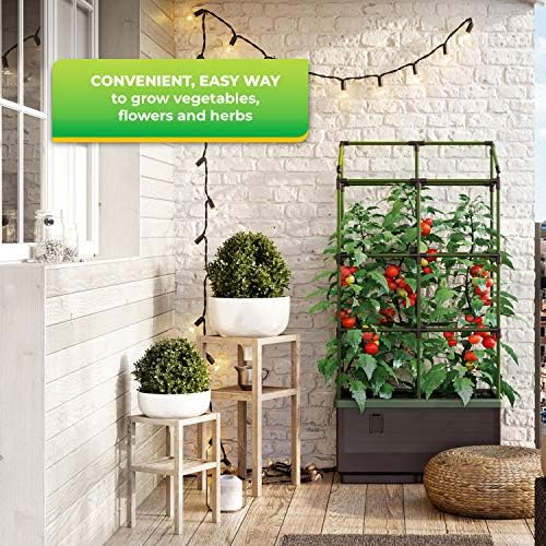 BioGreen Trellis for Raised Garden Bed with Watering System City Jungle | 12“L x 24“W x 38“H | Ideal Growth for Climbing Plants | Easy to Assemble - Image 2
