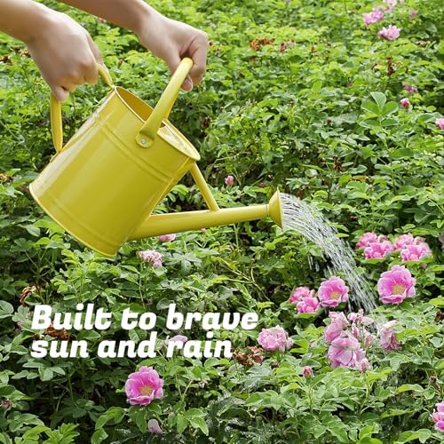 1 Gallon Watering Can for Plants, Watering Cans for Indoor&Outdoor Gardening, Galvanized Steel Watering Pot with Removable Spout, Metal Water Can with Ergonomic Movable Handle(Cute Yellow) - Image 6