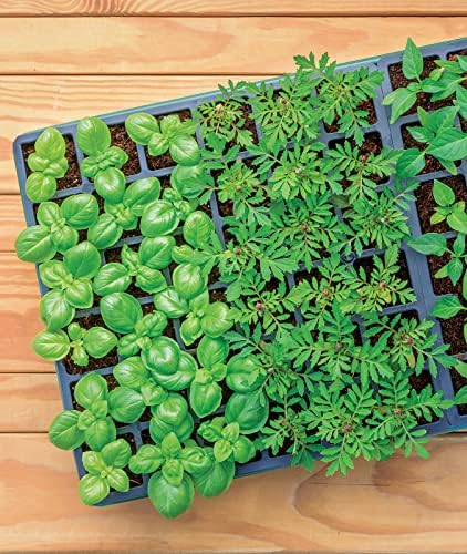 Burpee 72 Cell Seed Starting Kit with Greenhouse Dome and Coir Pellets - Image 6