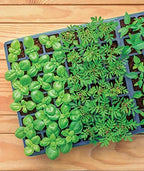 Burpee 72 Cell Seed Starting Kit with Greenhouse Dome and Coir Pellets - Image 6