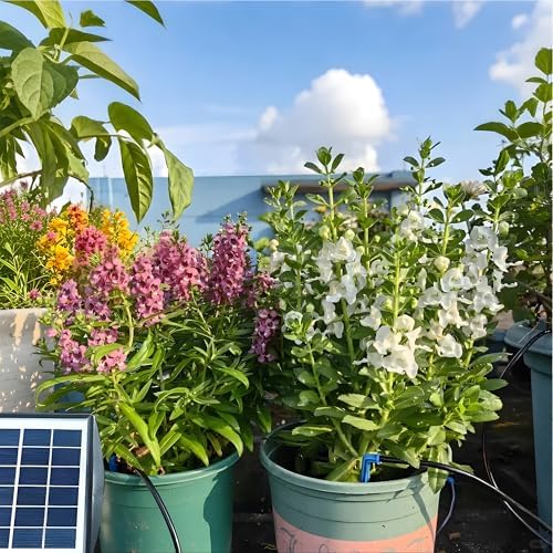 RISINGUP Solar Drip Irrigation System for 15 Potted Plants - Image 2