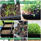 ZJP 20 Pack Extra Thick 1020 Heavy Duty Seed Starter Trays - No Holes, Reusable, 2.44 in Deep, Plastic Plant Growing Trays for Seedlings, Microgreens,and Propagation Sprouting in Garden, Greenhouse - Image 5