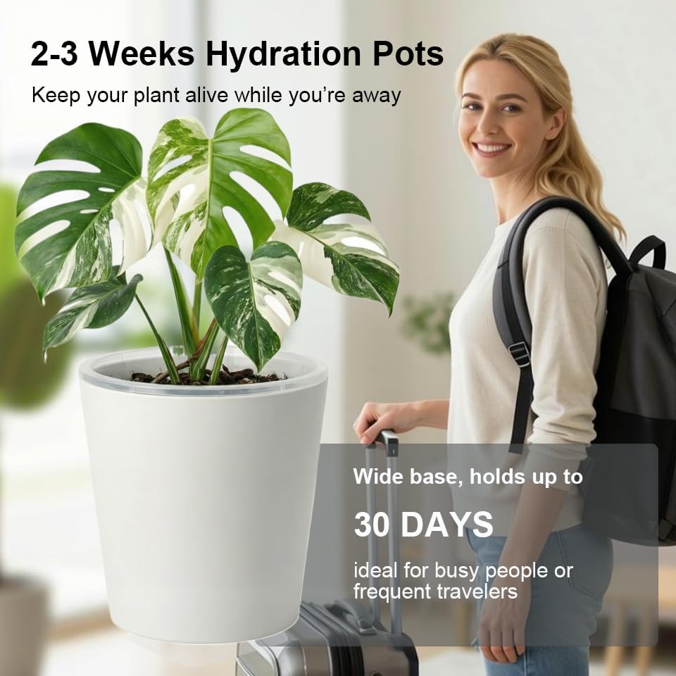 6 inch self Watering Pot with Clear Nursery Pot Inside,White,6 Pack - Image 3