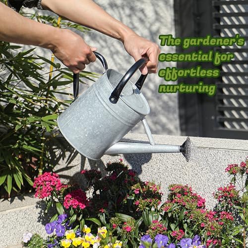 1 Gallon Watering Can for Plants, Watering Cans for Indoor&Outdoor Gardening, Galvanized Steel Watering Pot with Removable Spout, Metal Water Can with Ergonomic Movable Handle(Rustic Silver) - Image 6