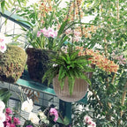 Resin Hanging Planters for Indoor Outdoor 2 Pack with Chains Self Watering - Image 5