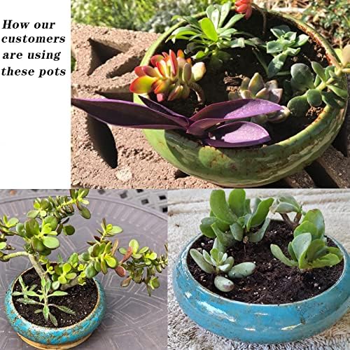 Succulent Pots, 7.3/10 Inch Bonsai Pots with Trays, Large Succulent Planter - Image 6