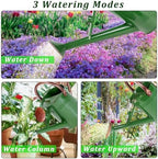 1 Gallon Metal Watering Can with Removable Spout, Nice Galvanized Steel Water Can for Indoor and Outdoor Plants (House Plants) - Image 4