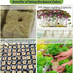 Rockwool Cubes, Good Water Absorption Soilless Cultivation Starter Plugs with Self Watering Cotton Wick Cord for Indoor Plant Growing - Image 6