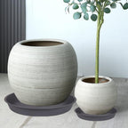 3 Pack of 20 22 inch Plant Saucer (19.2 Inch Base), 3.6" Depth Tray, Large Deep Garden Plastic Flower Planter Plant Trays for Indoors Outdoor Bath Bath (22", Gray) - Image 7