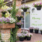 20 Pack Hanging Planter Basket 10 Inch with Drainage Tray - Image 4