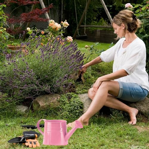 Metal Watering Can for Indoor Outdoor Garden Modern Minimalist Design with Detachable Sprinkler Head Ergonomic Comfort Grip Handle Efficient Irrigation Tool for Flower Lovers and (B, 24.5X11.5X11CM) - Image 2
