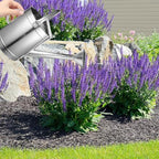 5l Metal Watering Can with Long Spout and Spray Head Thickened Stainless Steel Watering Kettle with Fixed Handle Suitable for Home Gardening and Style - Image 6