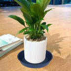 2 Pack of 20 21 inch Plant Saucer Round, Deep Plant Saucers for Pots, Heavy Duty Plastic Plant Drip Tray for Indoors Outdoor, Bird Bath Bowls, Plant Trays for Planter 19-22" (21 inch, Blue) - Image 6