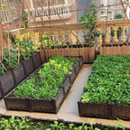 YSUEFIJO Raised Garden Bed Planter, Elevated Plastic Raised Garden Bed Planter Box, Planting Raised Container with Water Design & Drainage Holes, for Flower Vegetable Herbs - Image 3