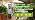 YAMRON 4-in-1 Soil Moisture Meter Digital Plant for Indoor ＆ Outdoor Plants - Image 7