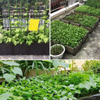 YSUEFIJO Raised Garden Bed Planter, Planters for Outdoor Plants, Elevated Garden Boxes Plant Pots, Grow Herbs and Vegetables Outdoors, Easy to Install - Image 7