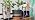 Automatic Watering System for Potted Plants | Indoor Plant Waterer with Programmable Timer, Dual Self-Priming Pumps, Drip Irrigation Kit for Up to 20 Plants - Image 7
