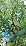 High-Flow Tree Irrigation System, 15FT 12mm Hose & 2Pcs 6.5FT Adjustable Nozzles, for Tree Roots & Canopies Irrigation, Leaf & Fruit Cleaning, Ideal for Fruit Trees & Ornamental Trees - Image 7