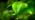 Tree Watering Bag, 20 Gallon Slow Release Tree Watering Bags-Drip Irrigation Bag for Newly Planted or Established Trees (3 Pack) - Image 7