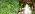 230FT Drip Irrigation System with 5/16" & 1/4" Distribution Tubing - Image 7