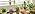 3Pcs 6.5L Automatic Vacation Plant Waterer Bag,Plant Self Watering Devices - Image 7