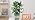 13oz Large Self Watering Globes,Glass Automatic Plant Waterer,Up to 2 Weeks - Image 7