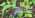 Anleolife 230FT Drip Irrigation System Kit, Complete Garden Watering System - Image 7